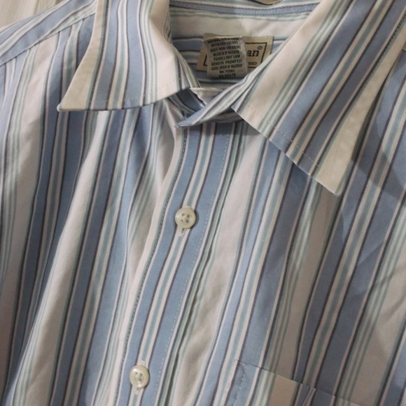 LL Bean Blue Stripe Cotton Long Sleeves Shirt L - Picture 2 of 4